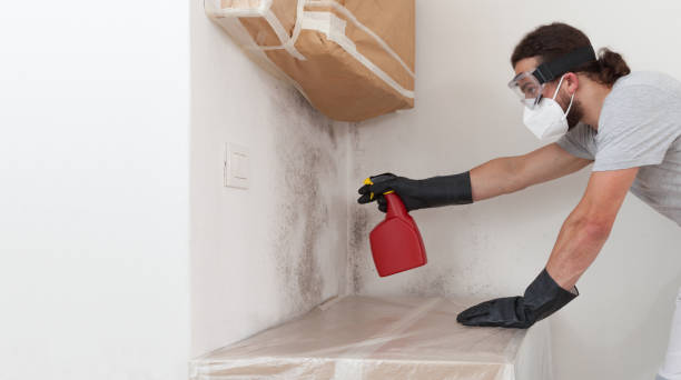 Professional Mold Testing technician working in Union City, MI